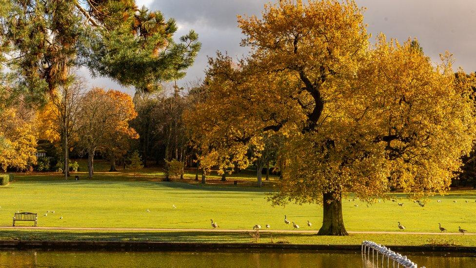 Cannon Hill Park, Birmingham