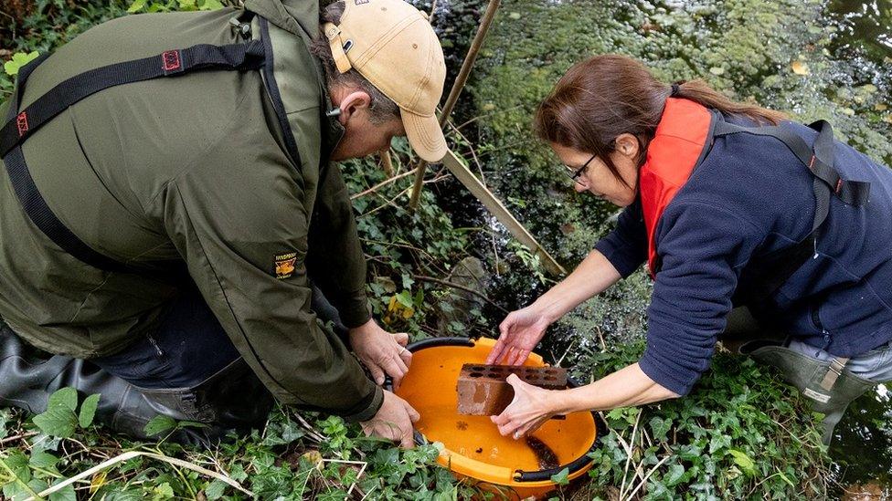 The team gathering crayfish