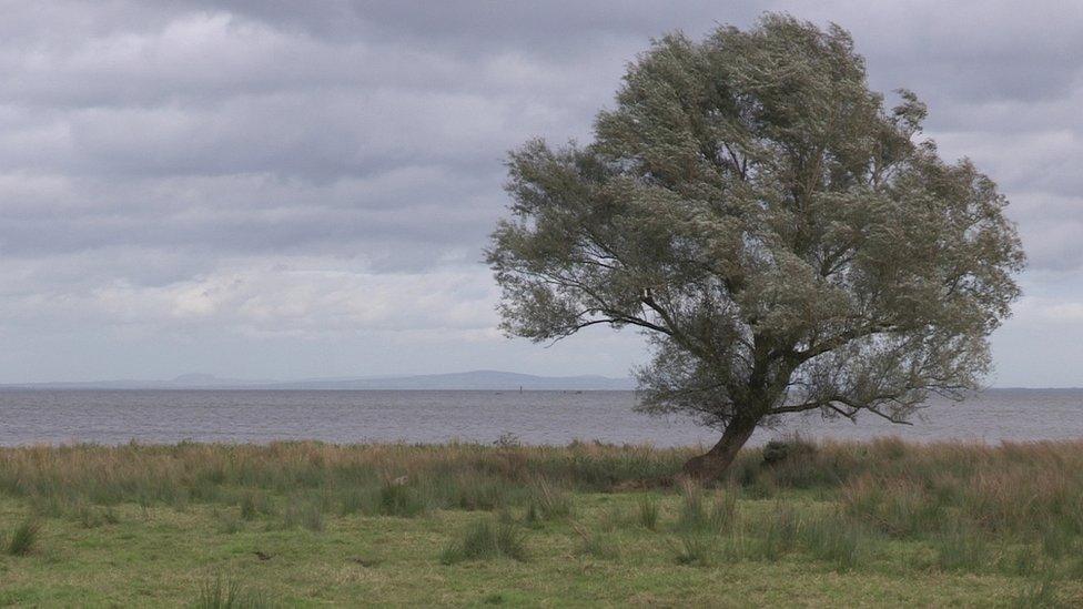 Farmland near Lough Neagh