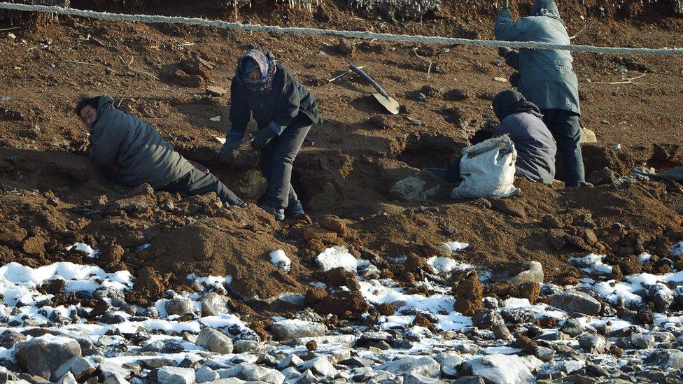 North Korean labourers in 2013