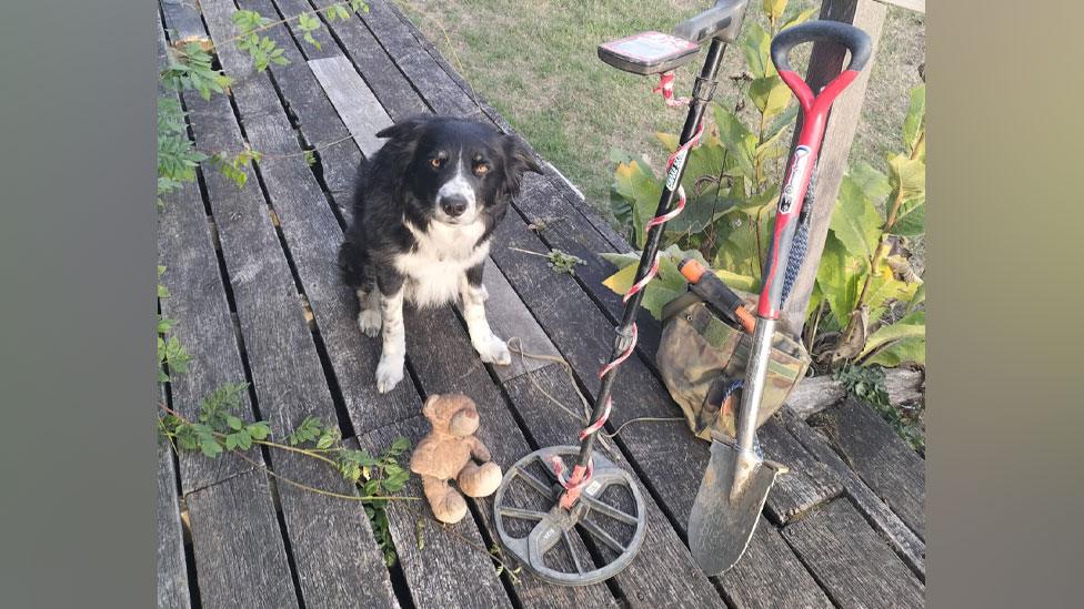 Badger and metal detector