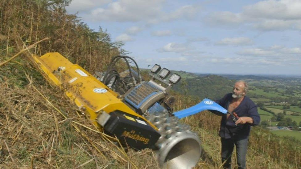 Keith mows the ferns