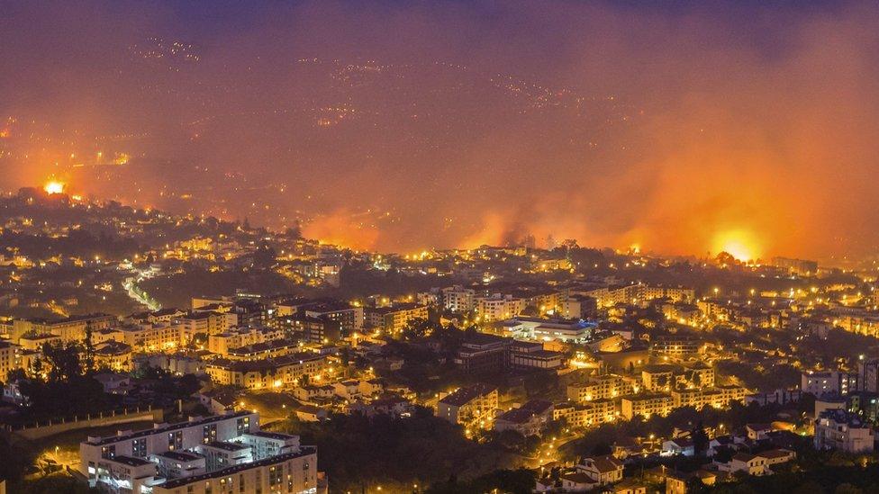 Forest fire in Funchal, Madeira Island, Portugal, 9 August 2016. The fire has led to the evacuation of 400 people