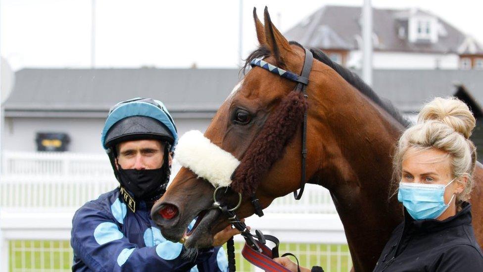 Que Amoro with jockey Paul Mulrennan after winning at Ayr Racecourse