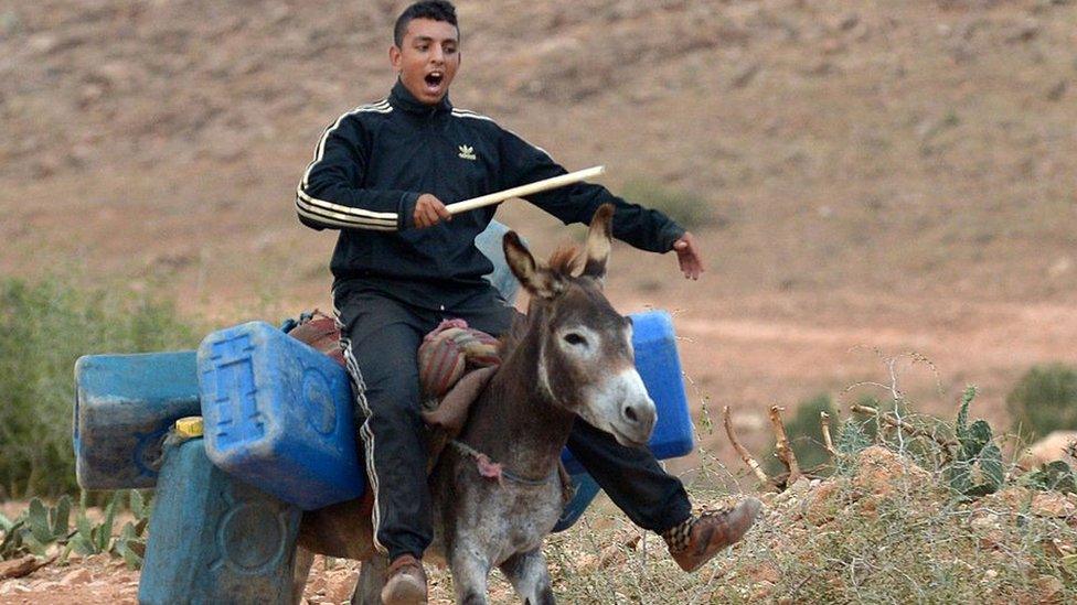 A a young man carries on a donkey empty barrels into Algeria to fill with oil and smuggle back into Morocco on September 12, 2013, along the Moroccan-Algerian border