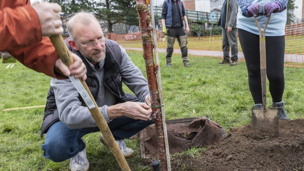 Tree planting in Burley Park, Leeds