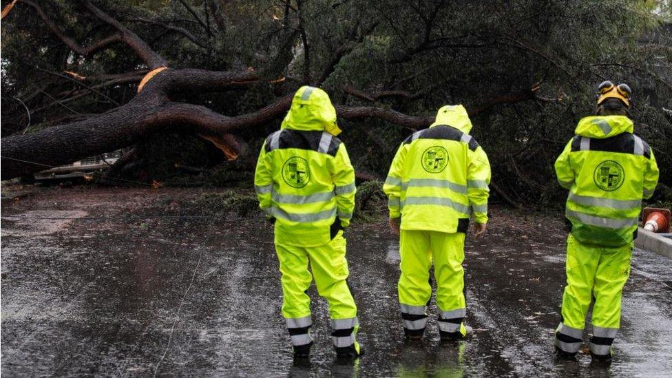 Officials responded to downed trees and power outages on Monday morning