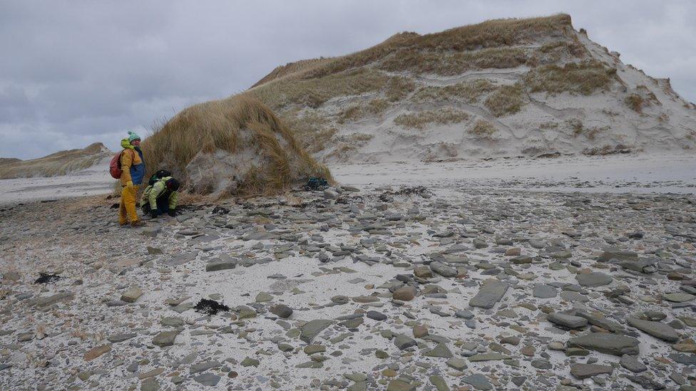 Evidence of Bronze Age settlement