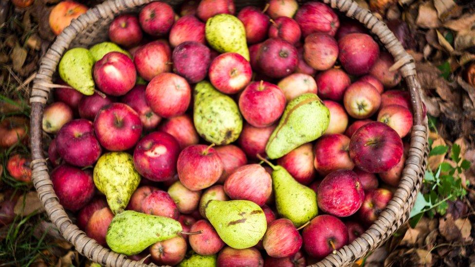 Apples and pears in a basket