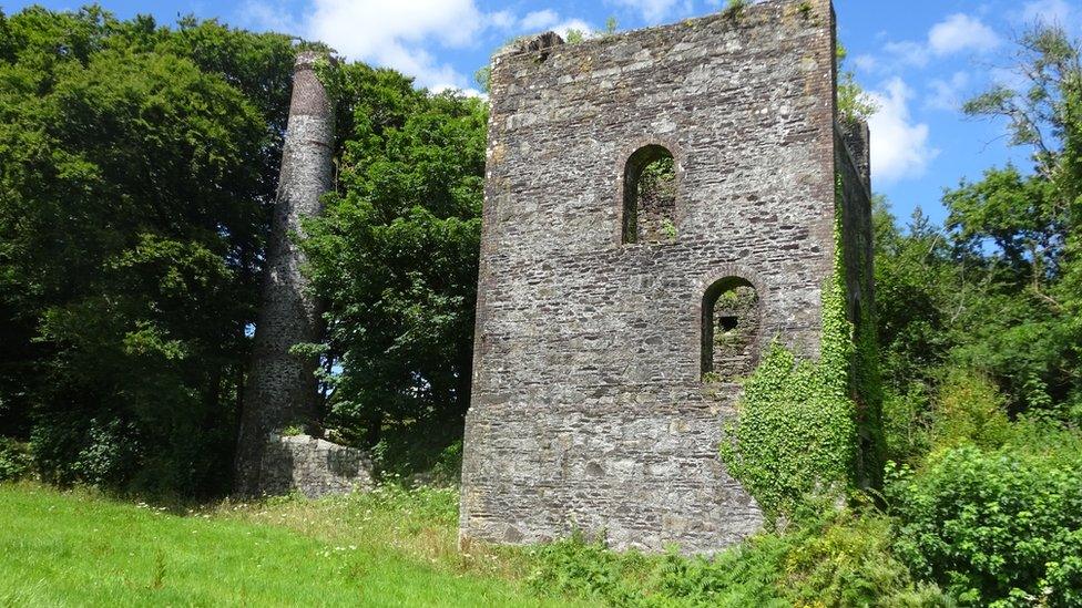 Mine site in Tamar Valley