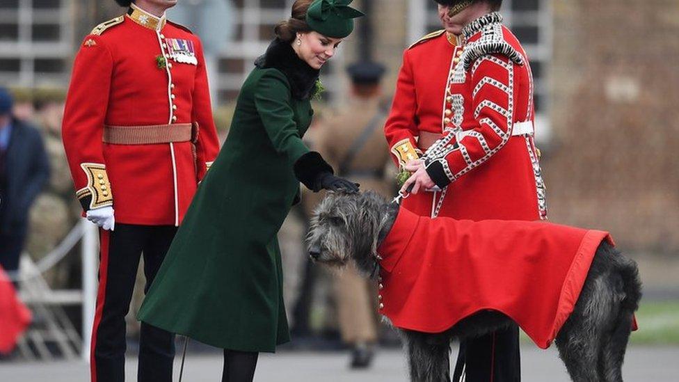 Kate pets Domhnall the Irish wolfhound