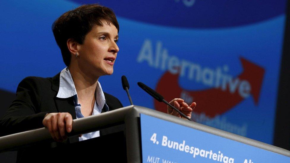 Frauke Petry, leader of the AfD party, speaking in Hannover (file photo - November 2015)