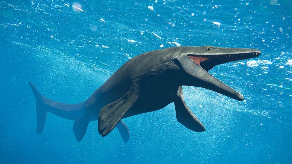 Mosasaur