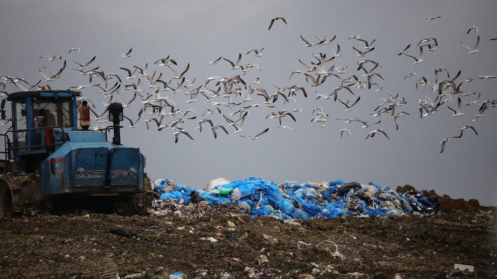 Landfill site at Milton in Cambridgeshire