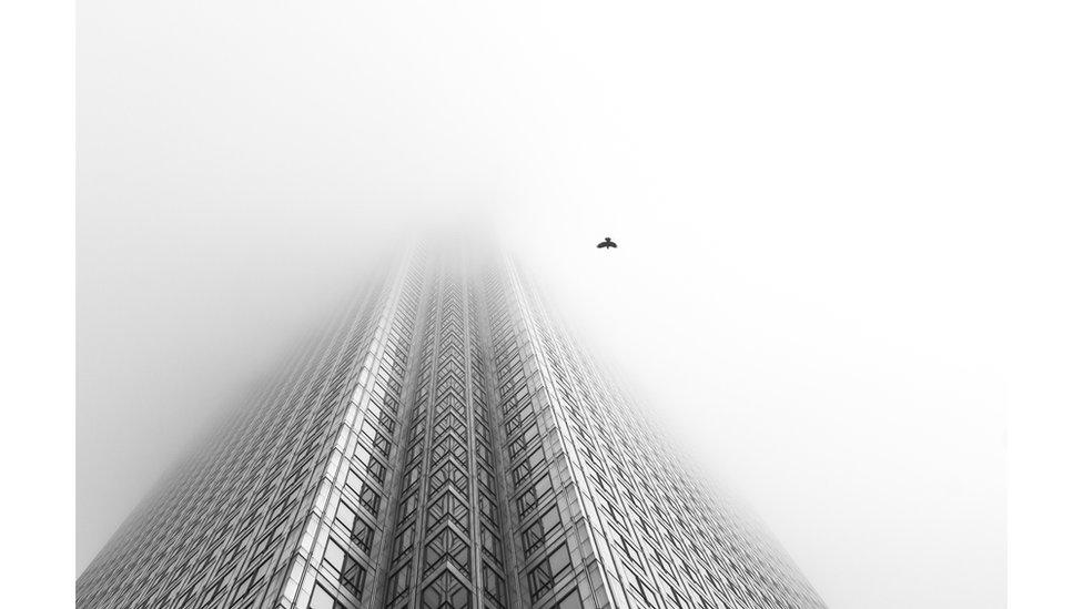 A bird flying past a tower block in London, England