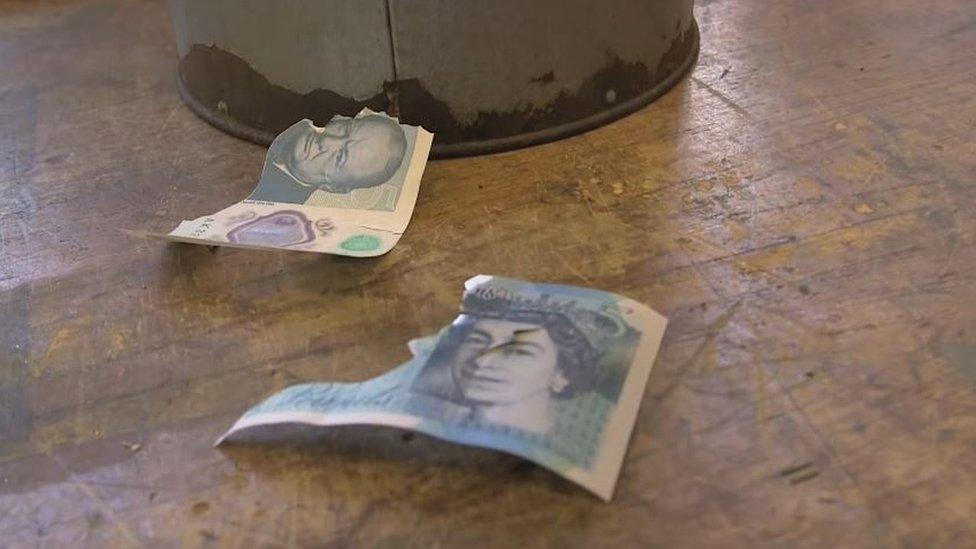 torn fiver