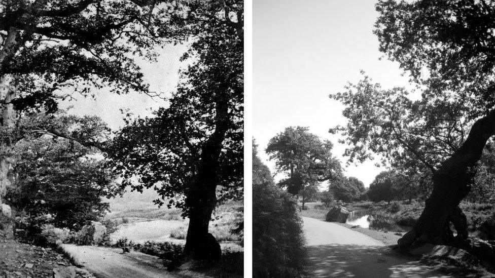 Bradgate Park in 1869 and Bradgate Park in in 2020