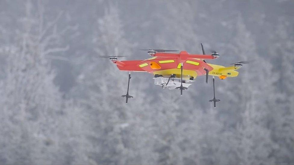 Drone against snowy trees