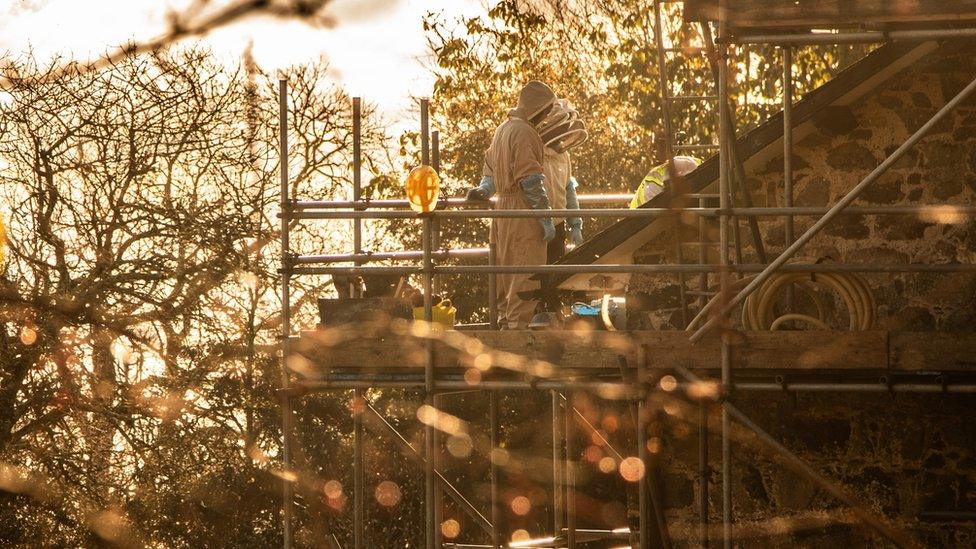 Beekeepers on roof