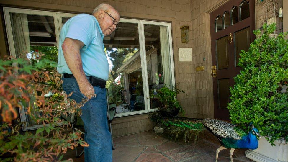 Man looks at peacock on his porch