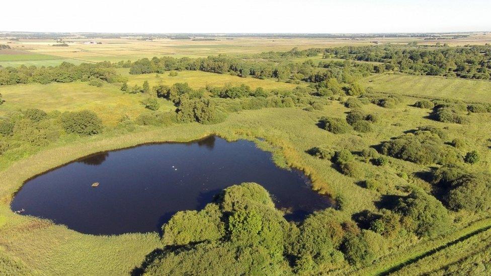 peat-soils-in-East-Anglia.