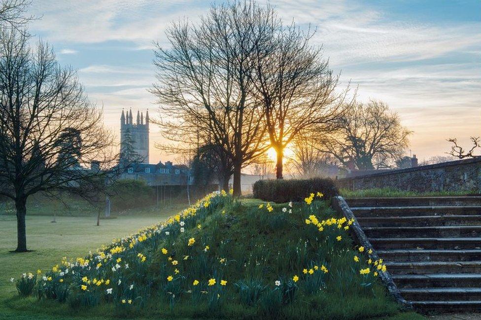 2016: Magdalen College Tower