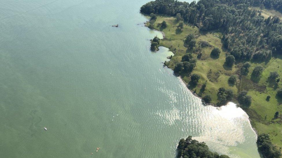 Algae on Windermere