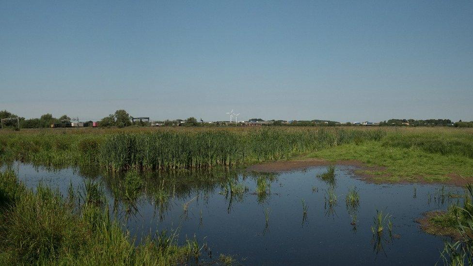 Doxey Marshes which will benefit from the £4.1m Stafford Brooks Project