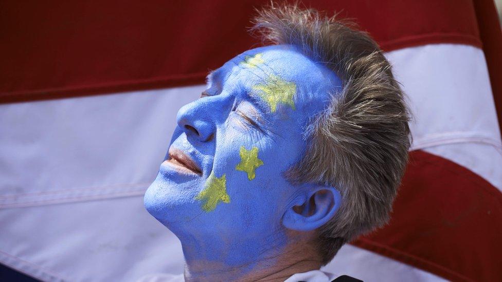 Anti-Brexit protester