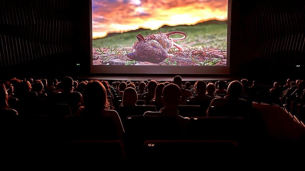 The film at a film festival in Serbia