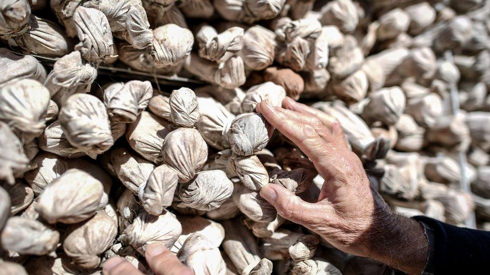 Shrouds of the Somme