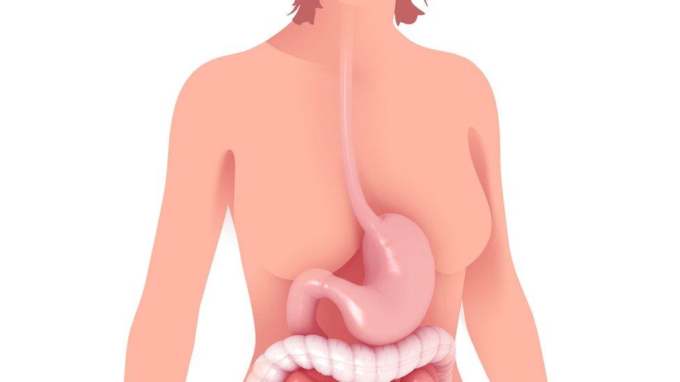 Graphic showing oesophagus