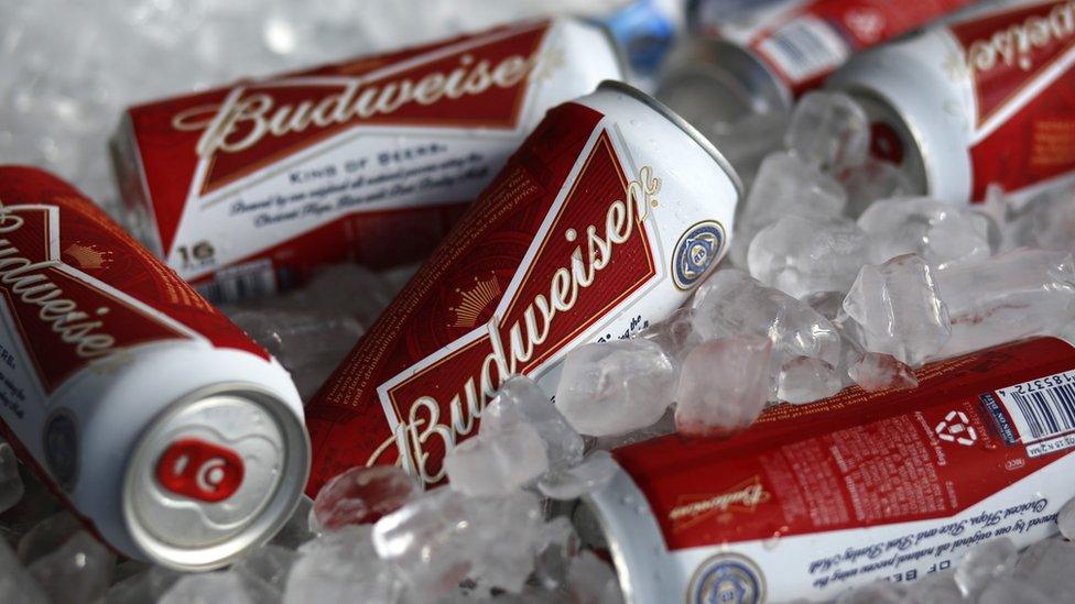 Budweiser in ice