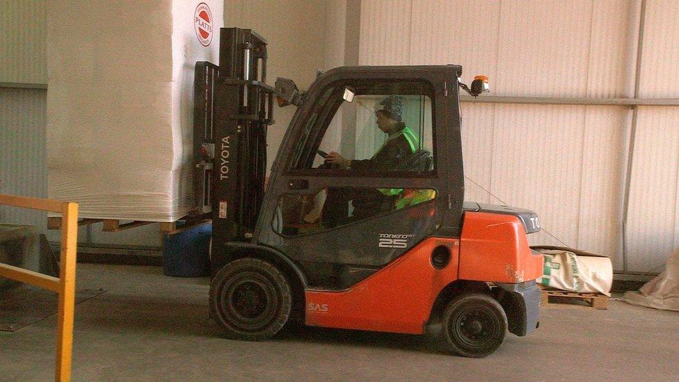 Forklift moving produce at Platts