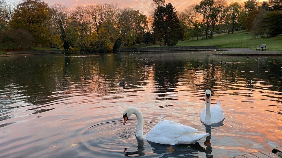 St George's Park lake