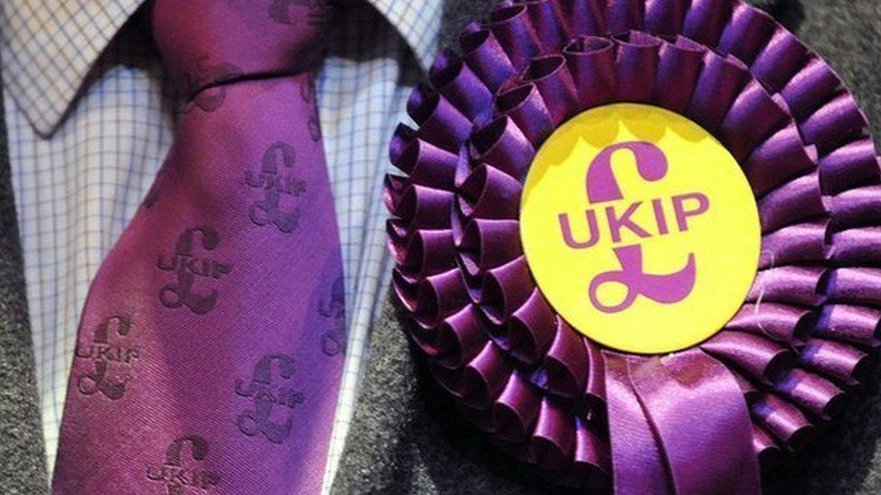 UKIP rosette