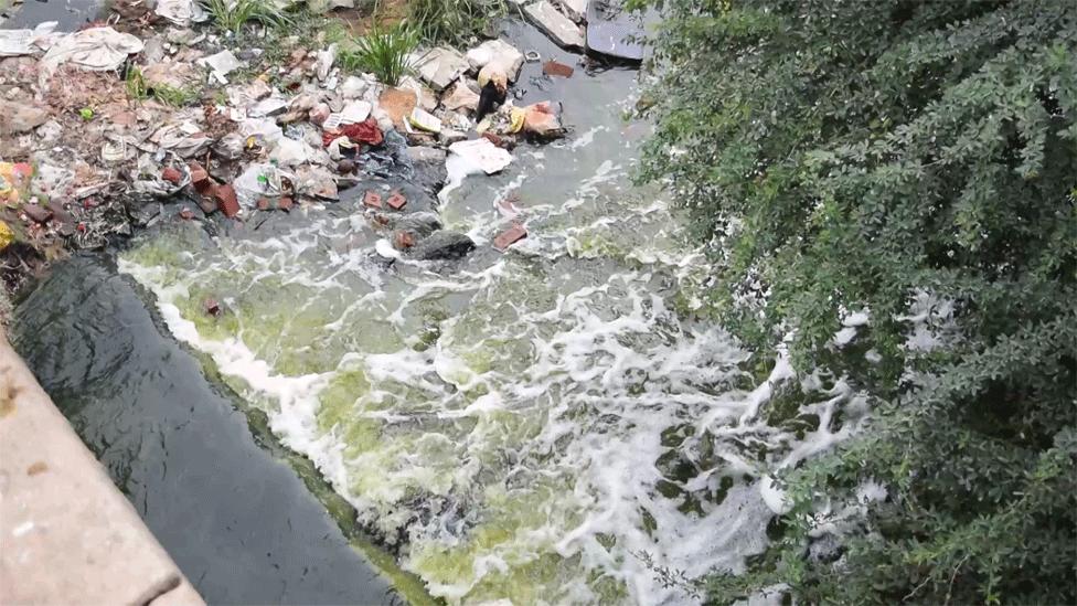 Industrial and residential waste collects at the mouth of Varthur Lake