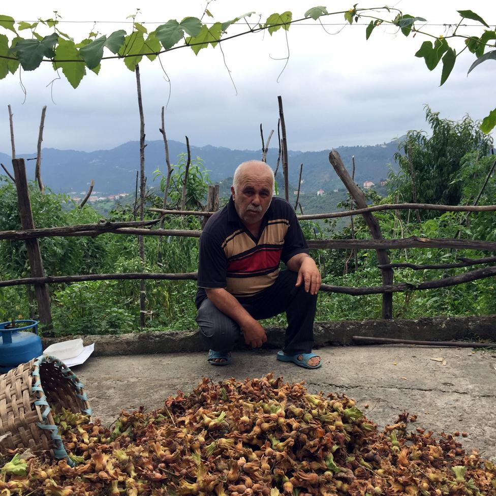 Kazim Yaman, hazelnut farmer