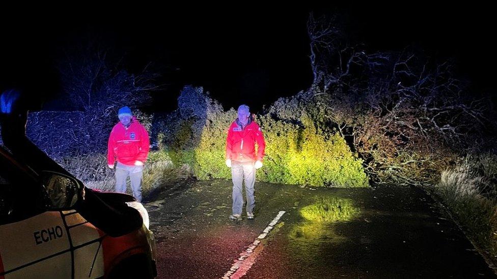 Two mountain rescue volunteers next to a tree across the road