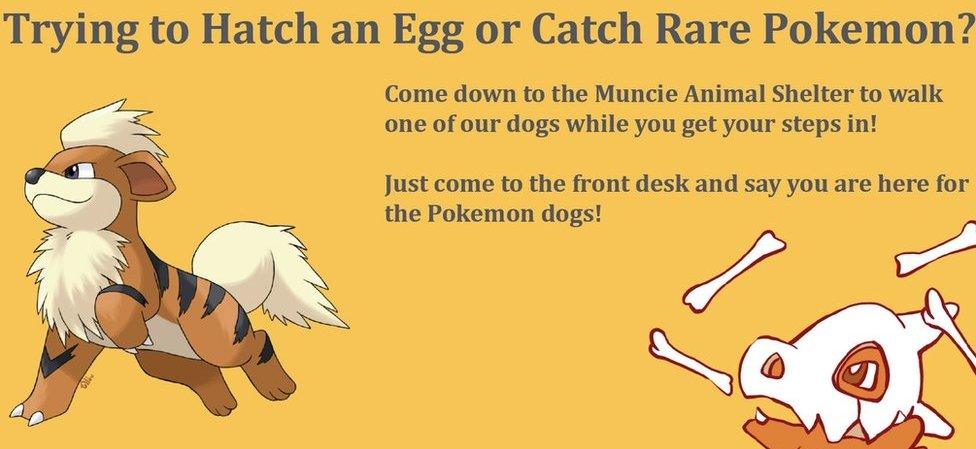 Muncie Animal Shelter Pokemon post