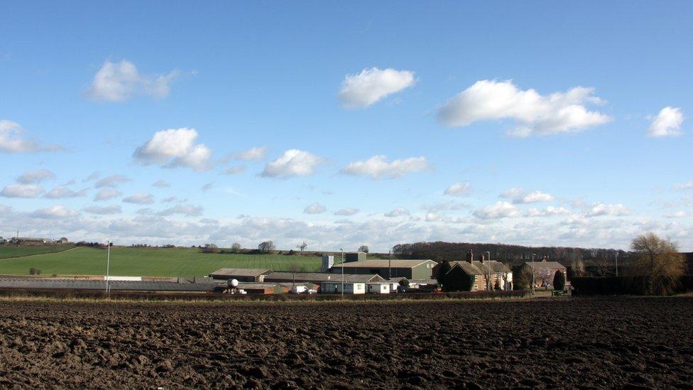 Farmland in the Rhubarb Triangle