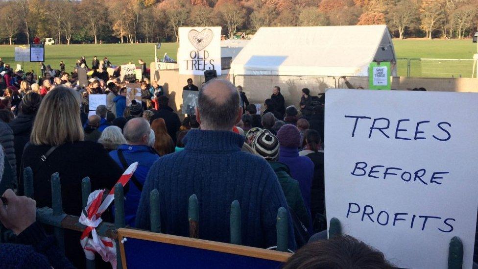 Tree protest