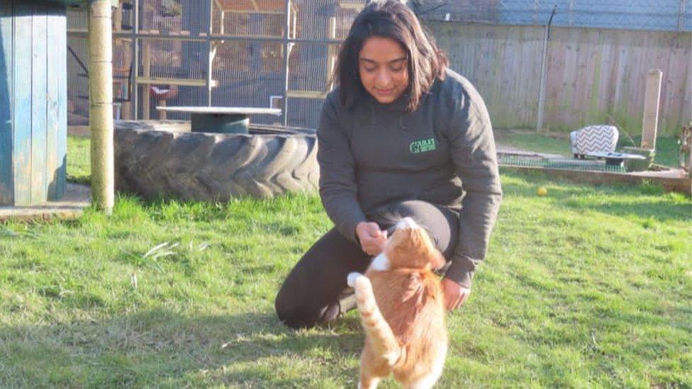 Poonam Doshi playing with cat