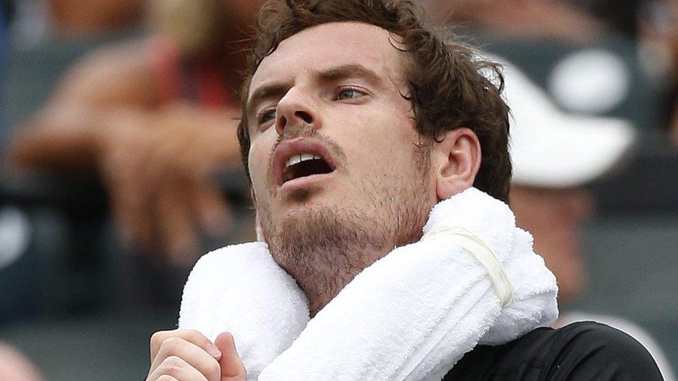 Andy Murray