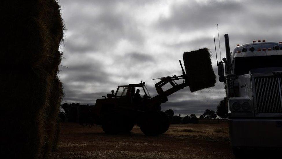 A tractor unloads a barrel of hay from a truck