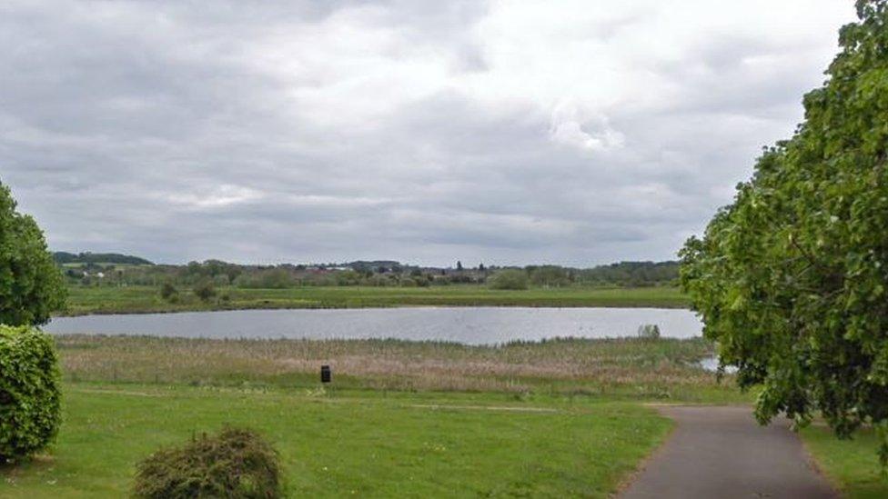 Doxey Marshes