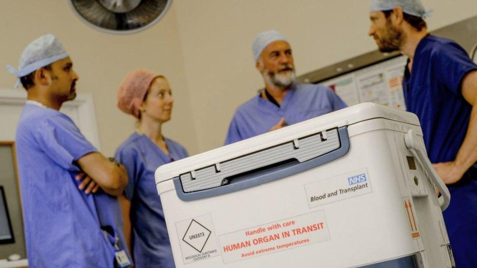 Organ donation container and hospital staff