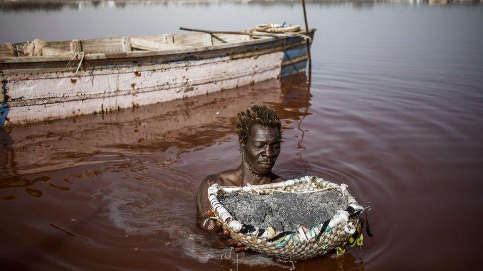 Touré, a Gambian salt harvester, holds a basket filled with the salt harvested from the crust of the bottom of the Lake Retba (Pink Lake) in Senegal on March 16, 2021. - Lake Retba, divided from the Atlantic Ocean by a narrow corridor of dunes, owes its name to the pink waters caused by the Dunaliella salina algae and is known for its high salt content, up to 40% in some areas.