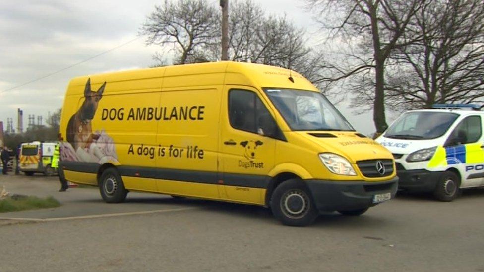 Dog ambulance driving out of a vet centre