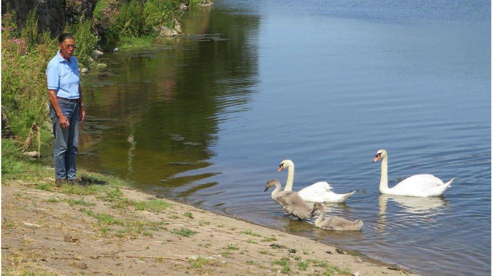 Maria Evans with the killer swan and his family